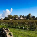 Vignoble de Barsac