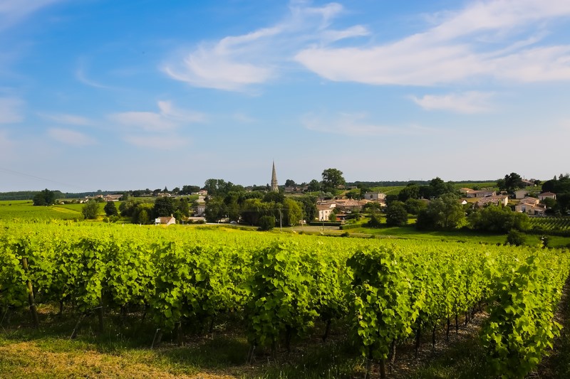 Vignobles Sauternes et Graves Sud-Gironde