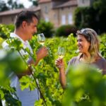 Dégustation dans le vignoble des Graves et du sauternais