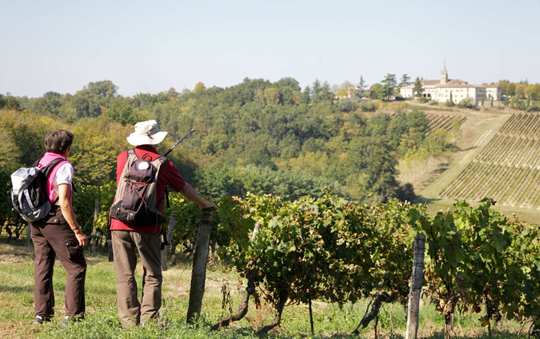 BALADE-VENDANGES-2011--780-