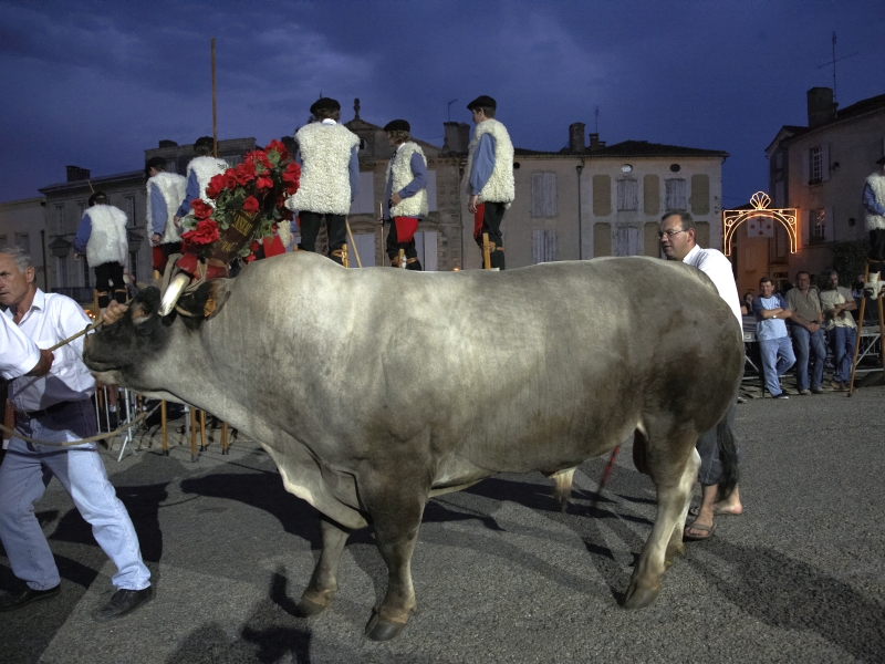 Bazas---Fete-de-la-Saint-Jean--2-