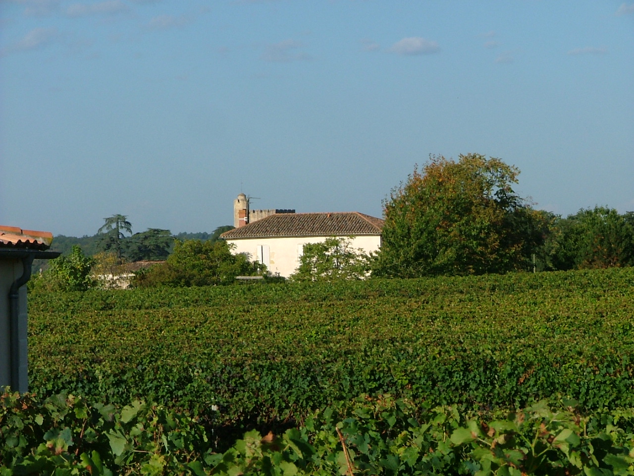 Château Beauregard Ducasse - MAZÈRES - Sud-Gironde