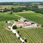 Château La Piolette - LE-PIAN-SUR-GARONNE - Sud-Gironde