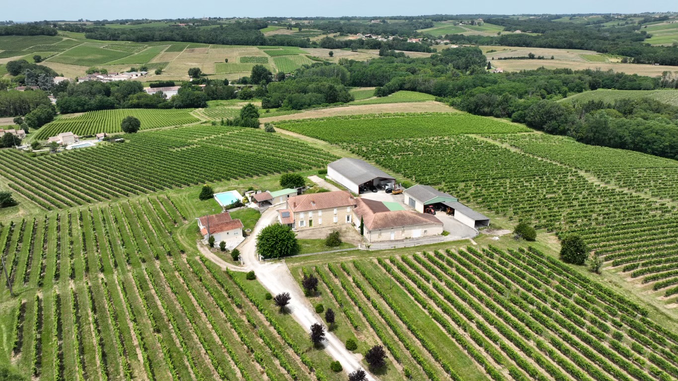 Château La Piolette - LE-PIAN-SUR-GARONNE - Sud-Gironde