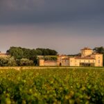 Château Lafaurie Peyraguey - BOMMES - Sud-Gironde