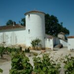 Château Lamothe Guignard - SAUTERNES - Sud-Gironde