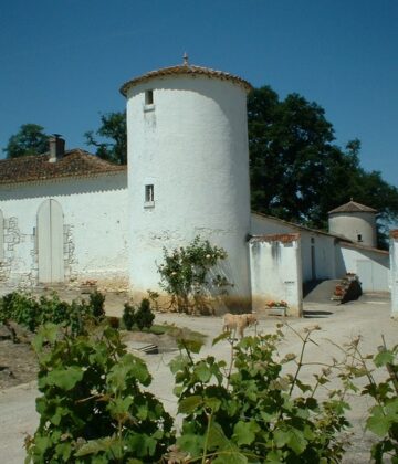 Château Lamothe Guignard - SAUTERNES - Sud-Gironde