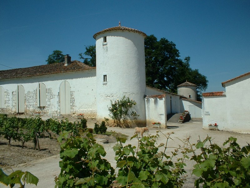 Château Lamothe Guignard - SAUTERNES - Sud-Gironde