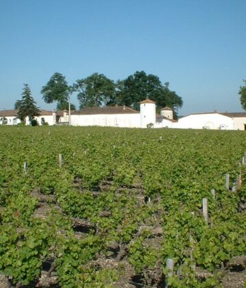 Château Lamothe Guignard - SAUTERNES - Sud-Gironde