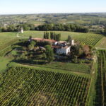 Château Mémoires - SAINT-MAIXANT - Sud-Gironde