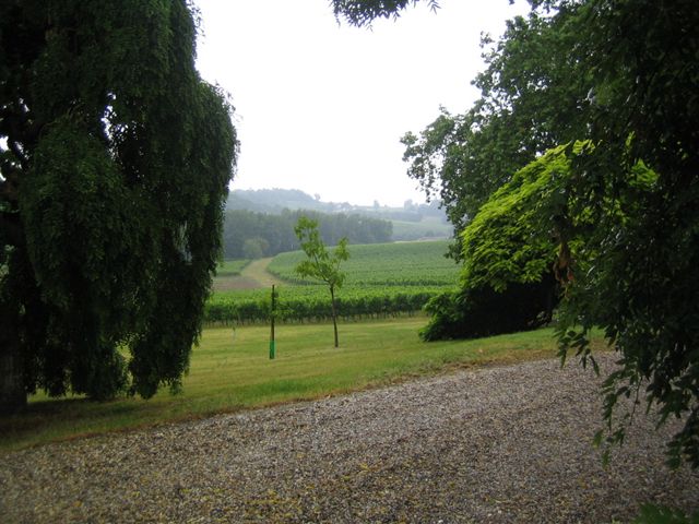 Château Perayne - SAINT-ANDRÉ-DU-BOIS - Sud-Gironde