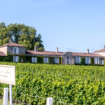 Château d'Arche - SUD-GIRONDE - Sauternes