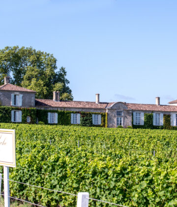 Château d'Arche - SUD-GIRONDE - Sauternes