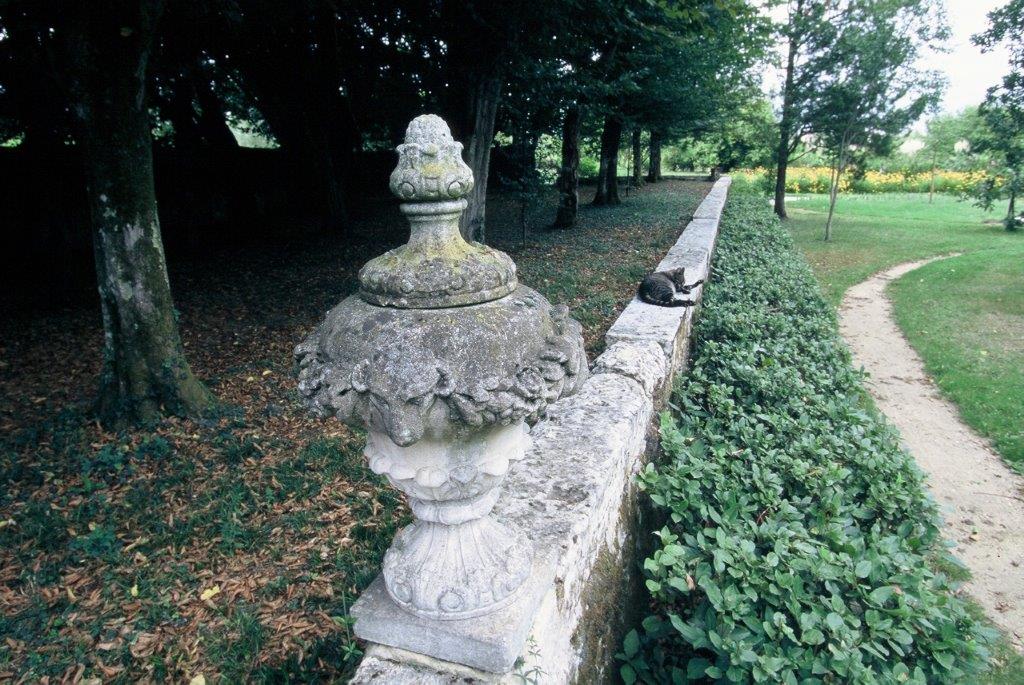 Château de Mongenan - jardin pour l'agrément