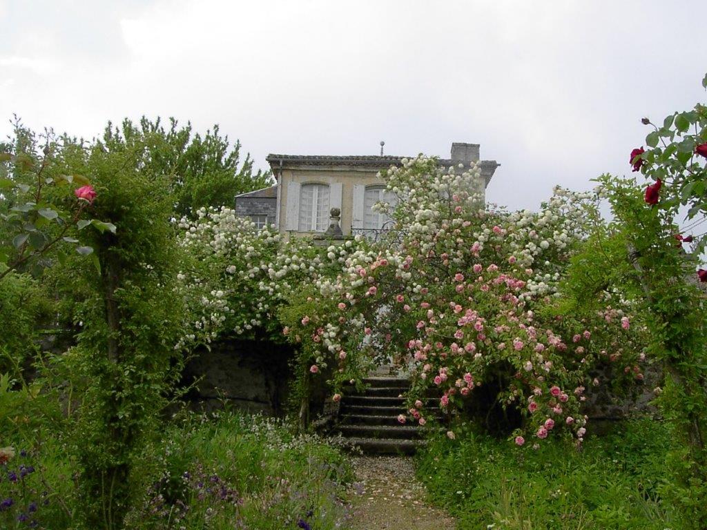 Château de Mongenan - jardins d'utilité 2