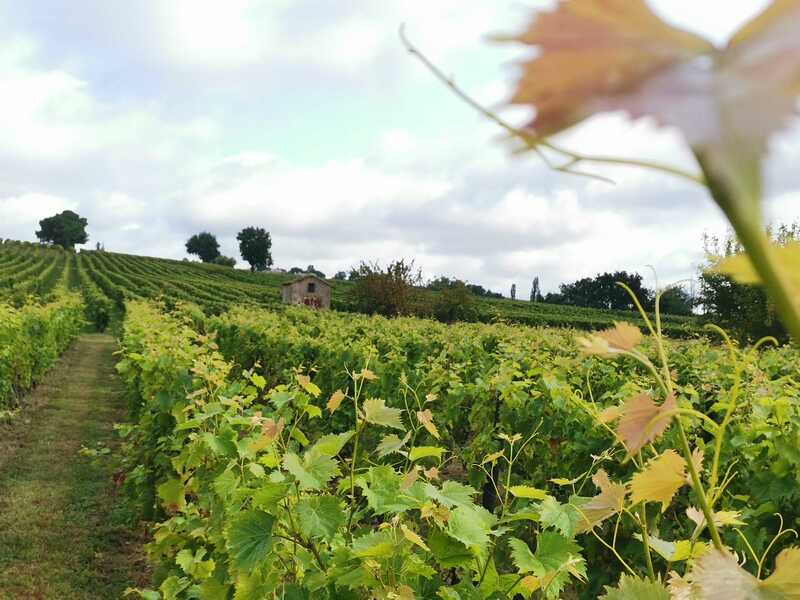 Circuit des cabanes de vignes_Pian-sur-Garonne