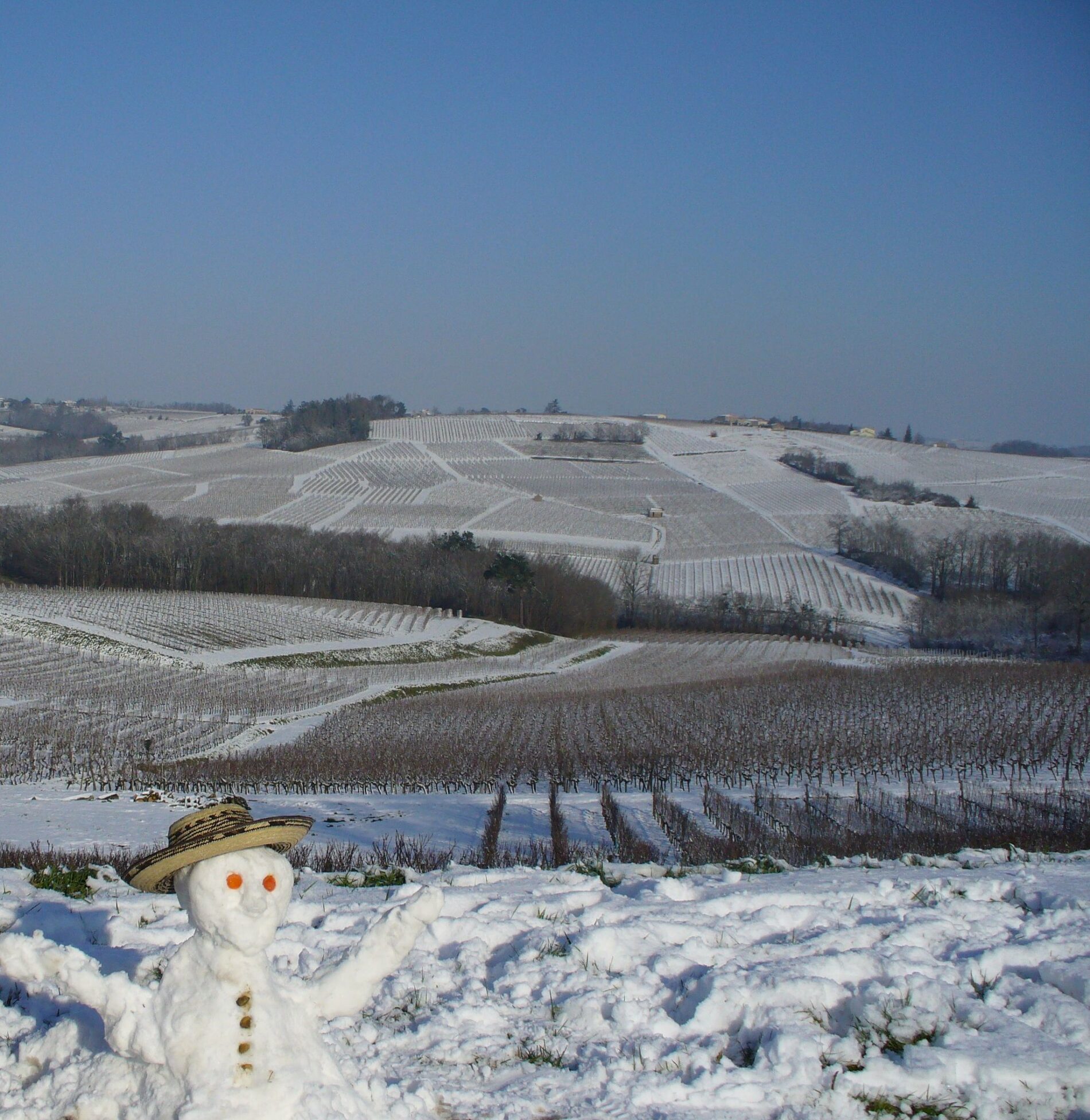 Destination Garonne, vignoble Tinon, Sainte-Croix-Du-Mont