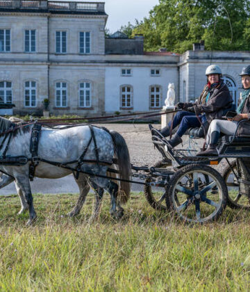 Rallye équestre du sauternais - Bommes.