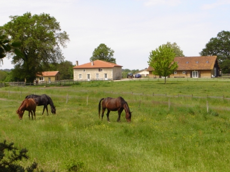 Sauviac - Grange de Majouraou