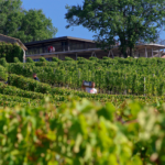 Château Réaut, Rions, Destination Garonne, Office Tourisme Cadillac Podensac