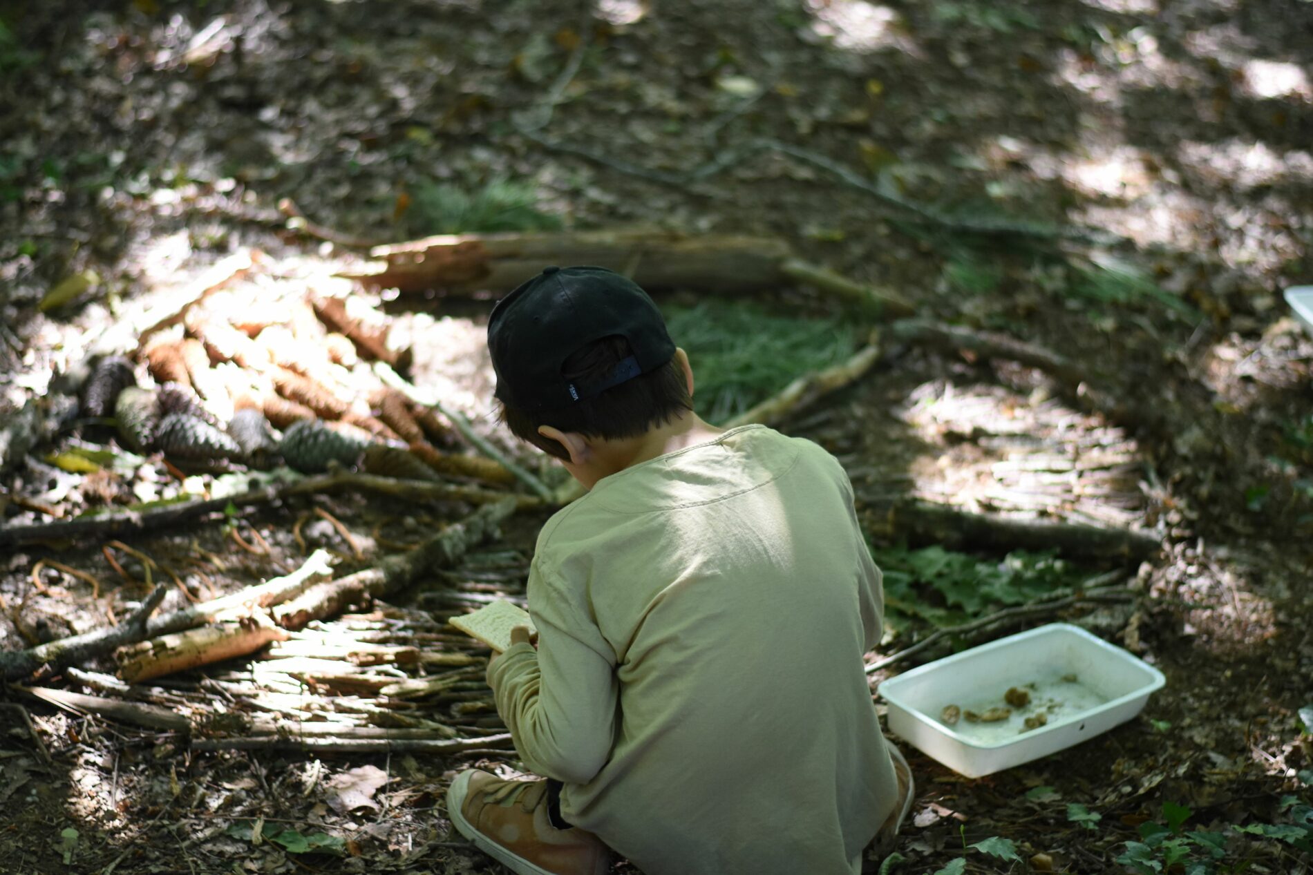 anim atelier de la forêt