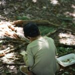 anim atelier de la forêt