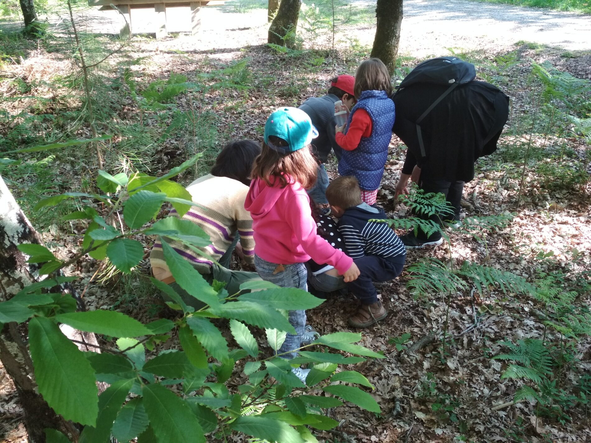 ateliers de la forêt