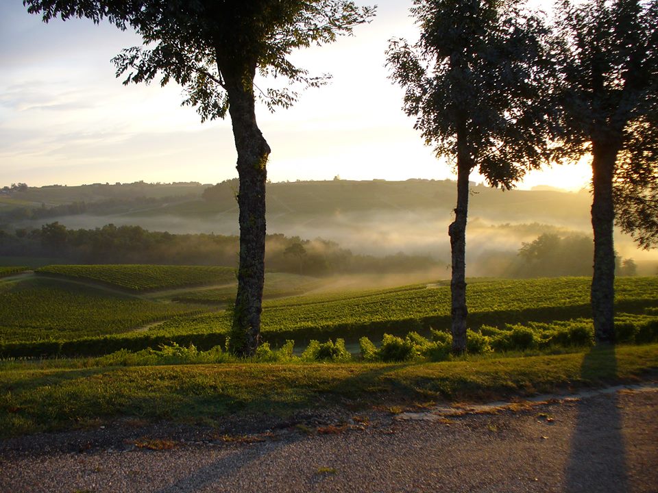 Destination Garonne, vignoble Tinon, Sainte-Croix-Du-Mont