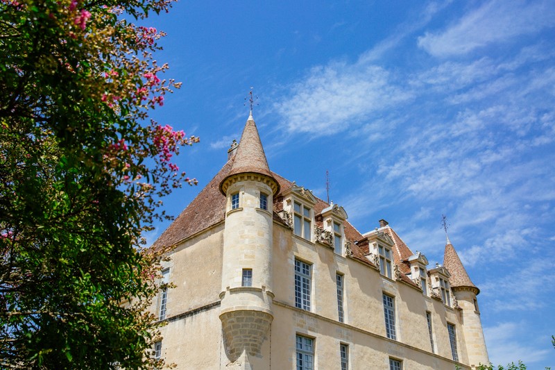 Château du Hamel - CASTETS ET CASTILLON