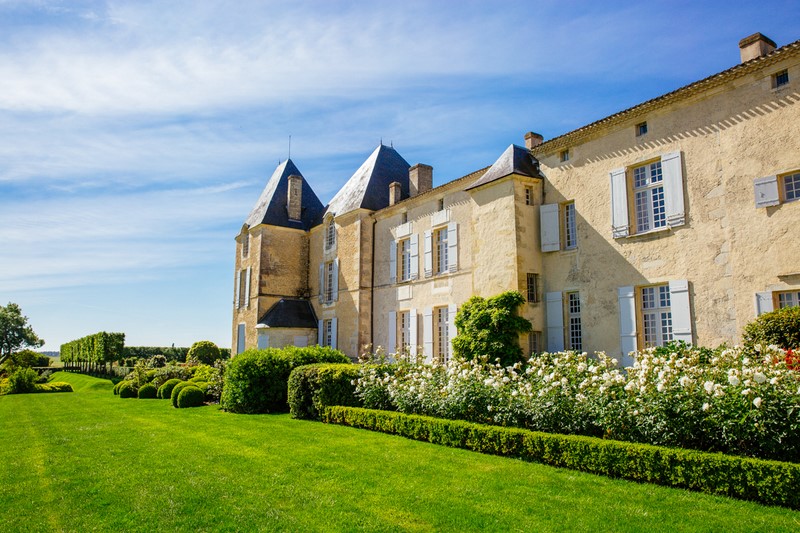Château d'Yquem - SAUTERNES - Sud-Gironde