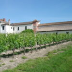 Domaines Latrille Bonnin - MAZÈRES - Sud-Gironde