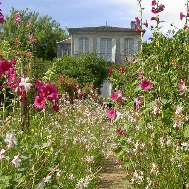 jardin Château Mongenan