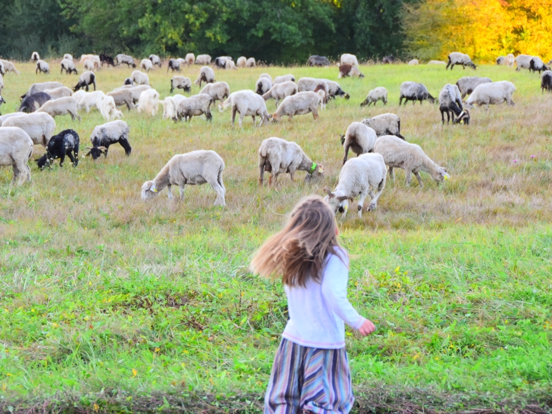 la Route de la Transhumance