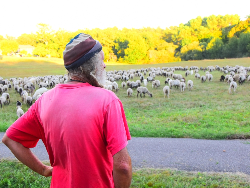 la Route de la Transhumance