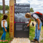 lac-gat-mort-sud-gironde-agence-les-conteurs-2