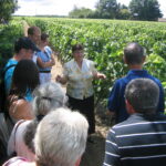 Château Le Maine Périn - LANGON - Sud-Gironde