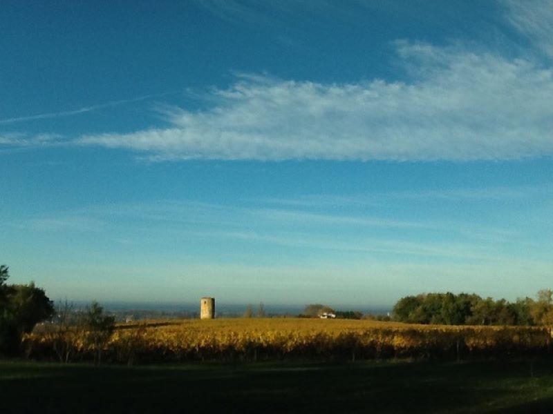 Destination Garonne, Château la Bertrande, Omet