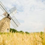 VERDELAIS - Moulin de Cussol - Sud-Gironde