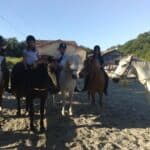 Poney-club du Château Perron - ROAILLAN - Sud-Gironde