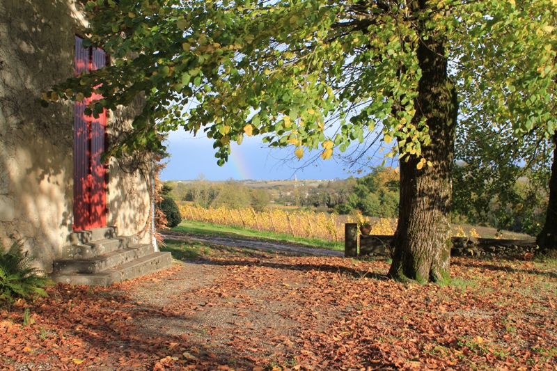 Destination Garonne, Château la Mouleyre, Sainte_Croix-Du-Mont