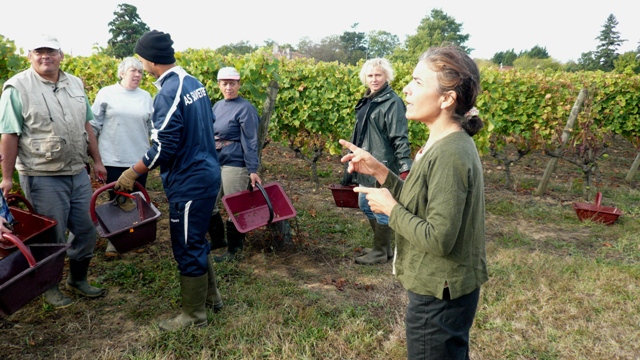 Destination Garonne, vignoble Tinon, Sainte-Croix-Du-Mont