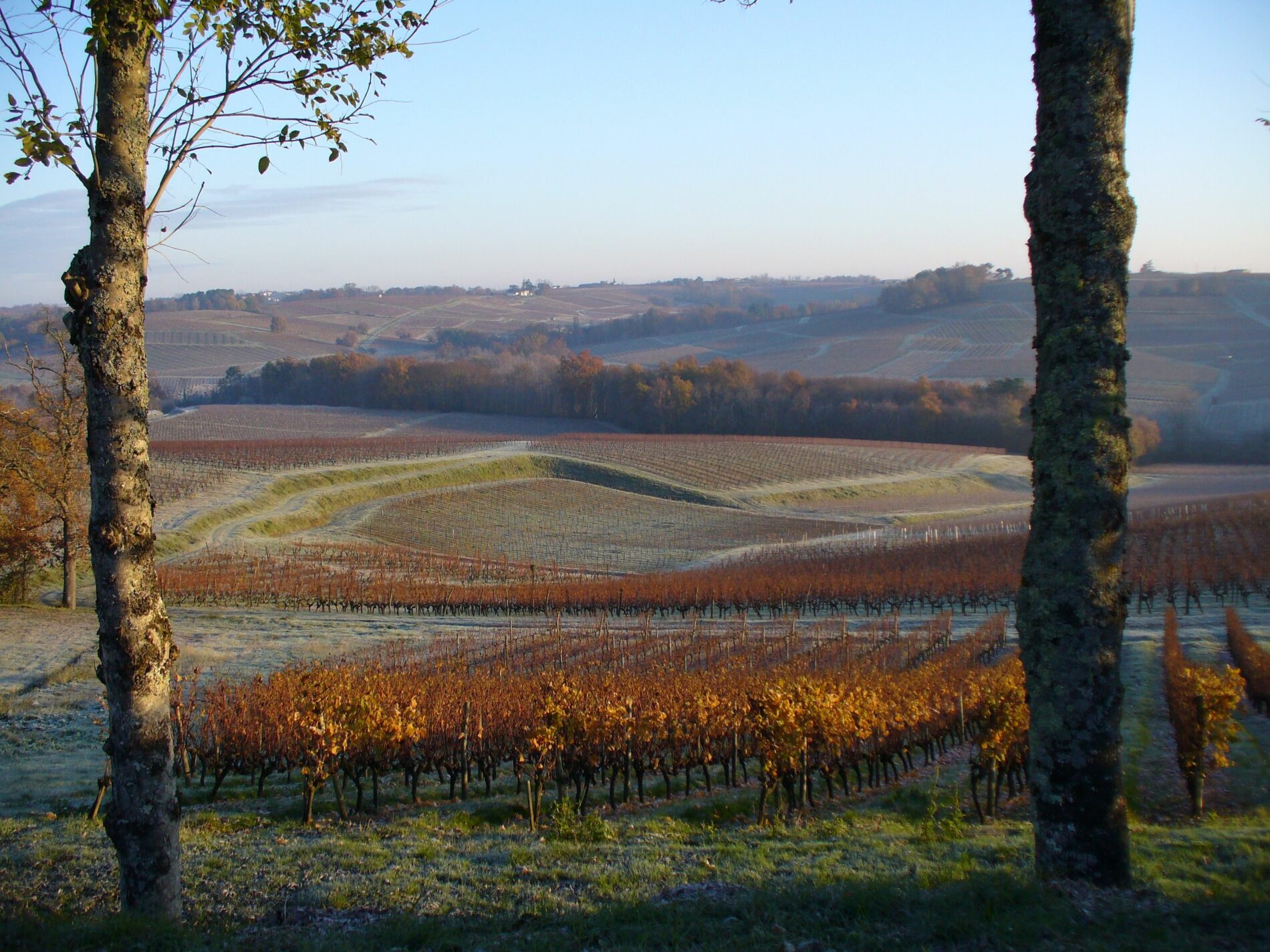 Destination Garonne, vignoble Tinon, Sainte-Croix-Du-Mont