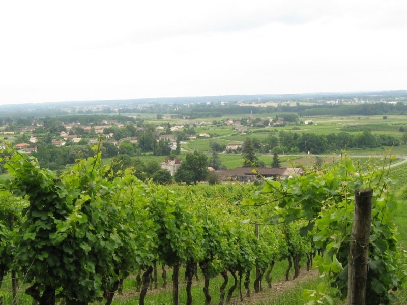 Destination Garonne, Château la Mouleyre, Sainte_Croix-Du-Mont